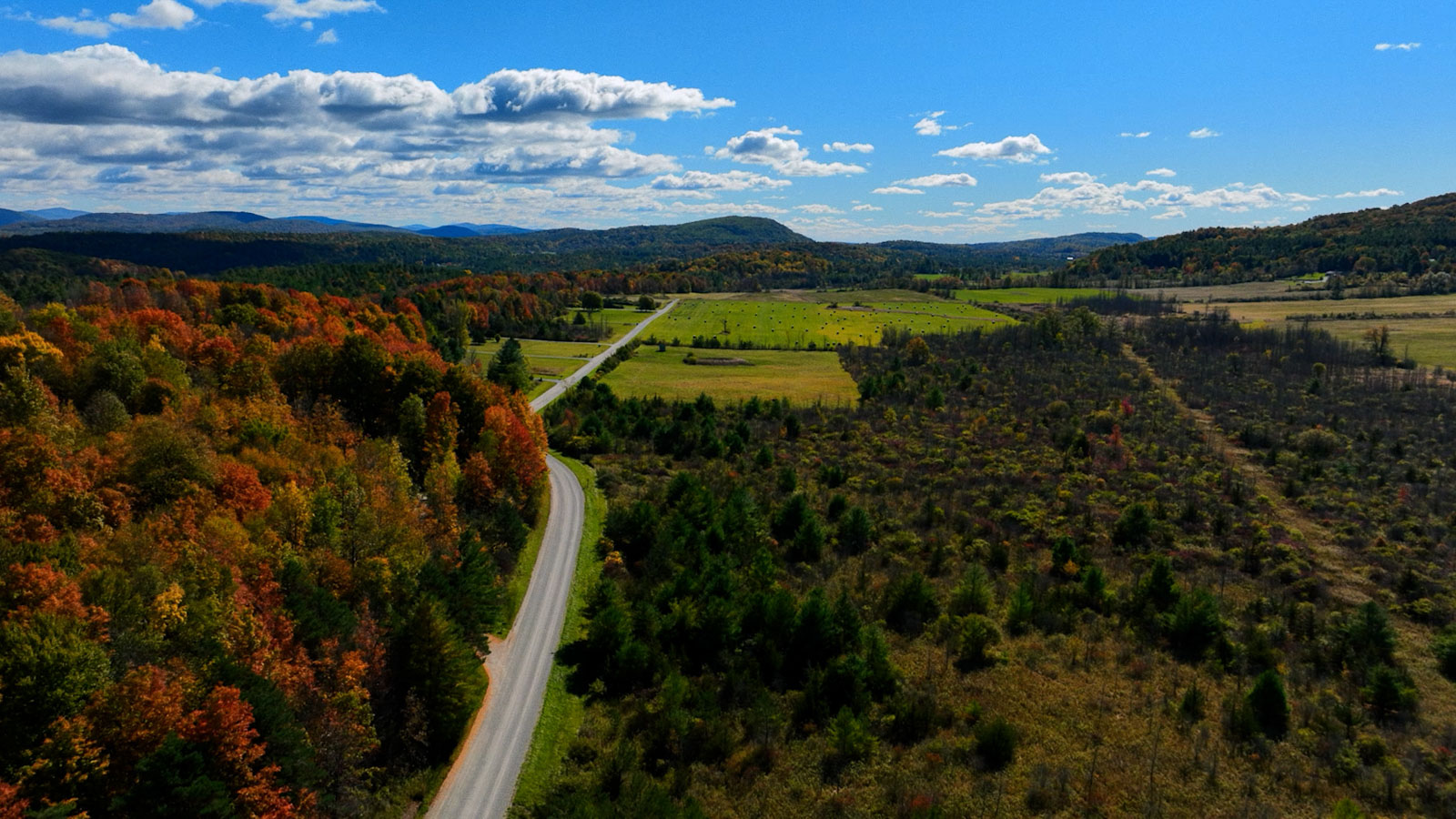 Still frame from Circle x ExitFive